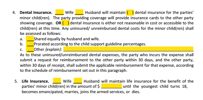 MSA Section 4 Child Support Insurance